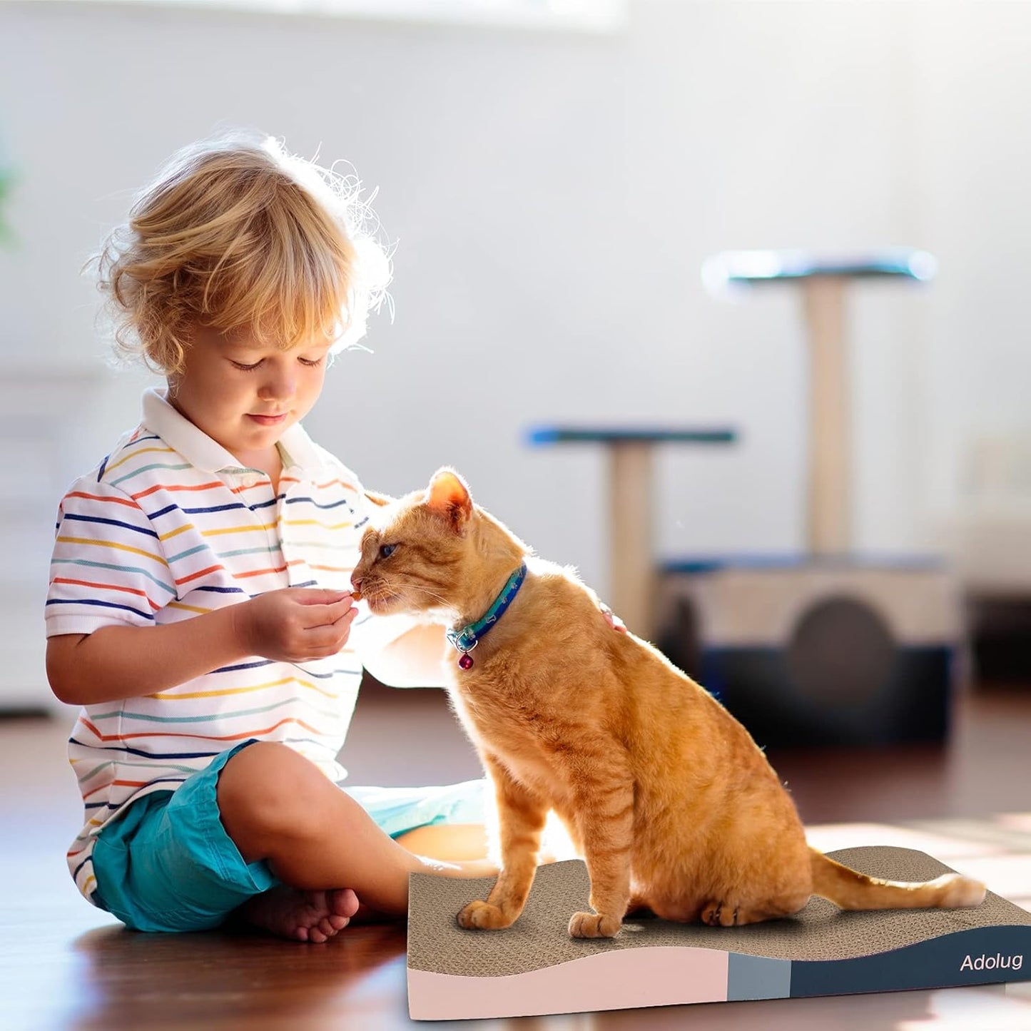Cat Scratch Pad, Cat Scratcher Cardboard with Premium Reversible Scratch Textures Design, Corrugated and Zero Odor Cat Scratcher with Catinp and Mini Toy(1Pcs)